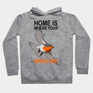 Bird Watching Birds Birding Hoodie